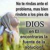 elidamorales26